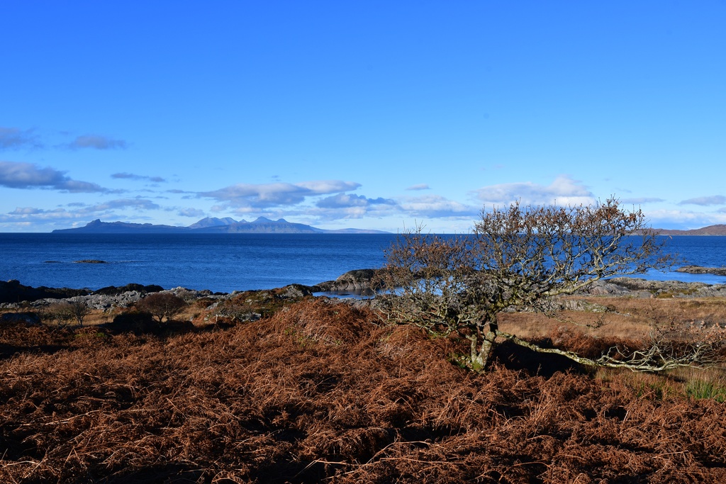 2018-11 Scotland/Glenuig/DSC_7122.JPG